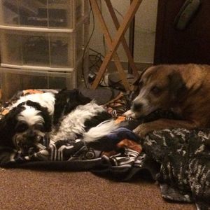 Meet your Posher, Nieke-ann